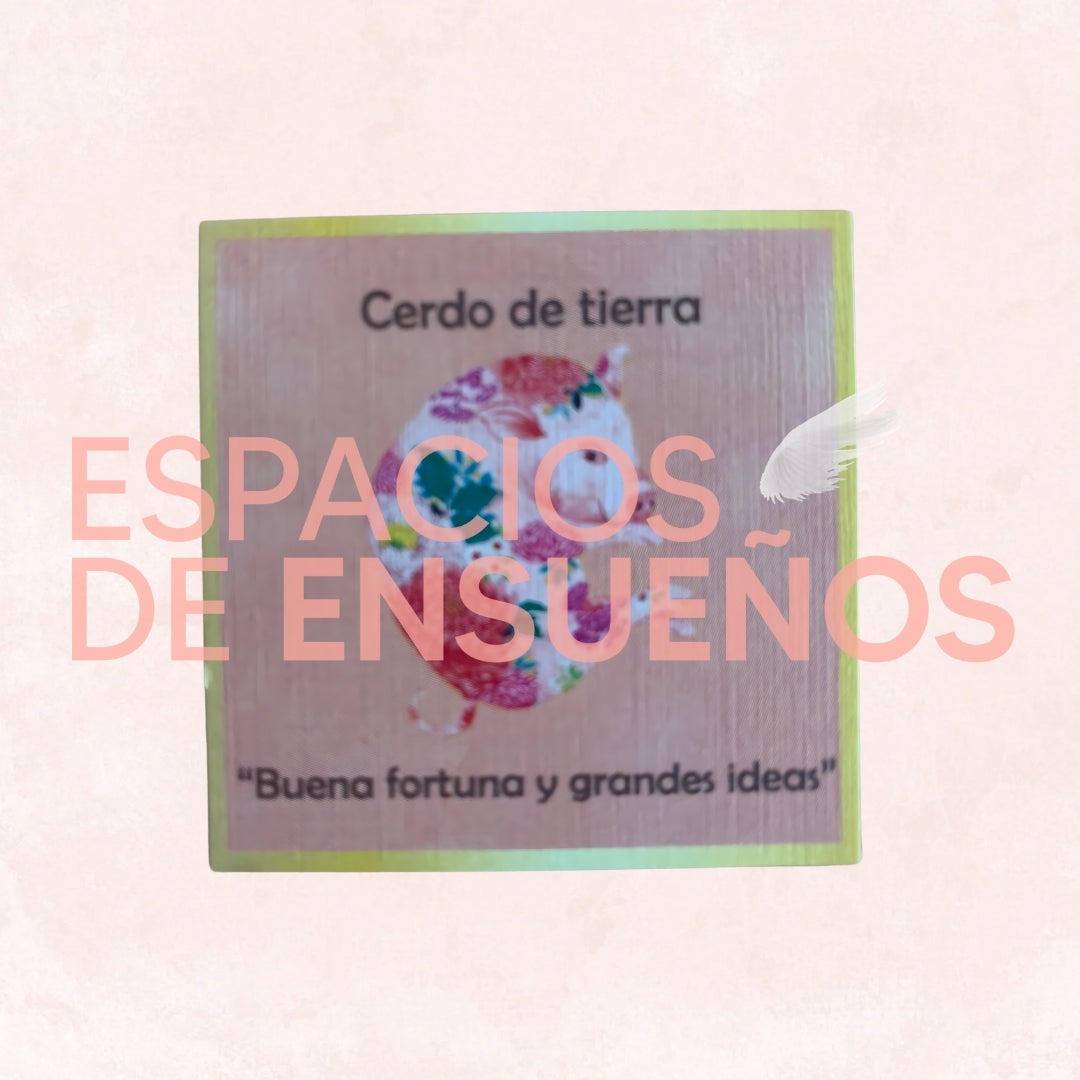 Talisman Cerdo de Tierra