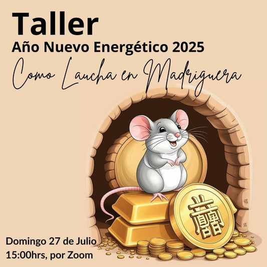 Taller de Año Nuevo Energético 2025