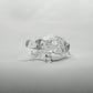 Tortuga de vidrio Transparente