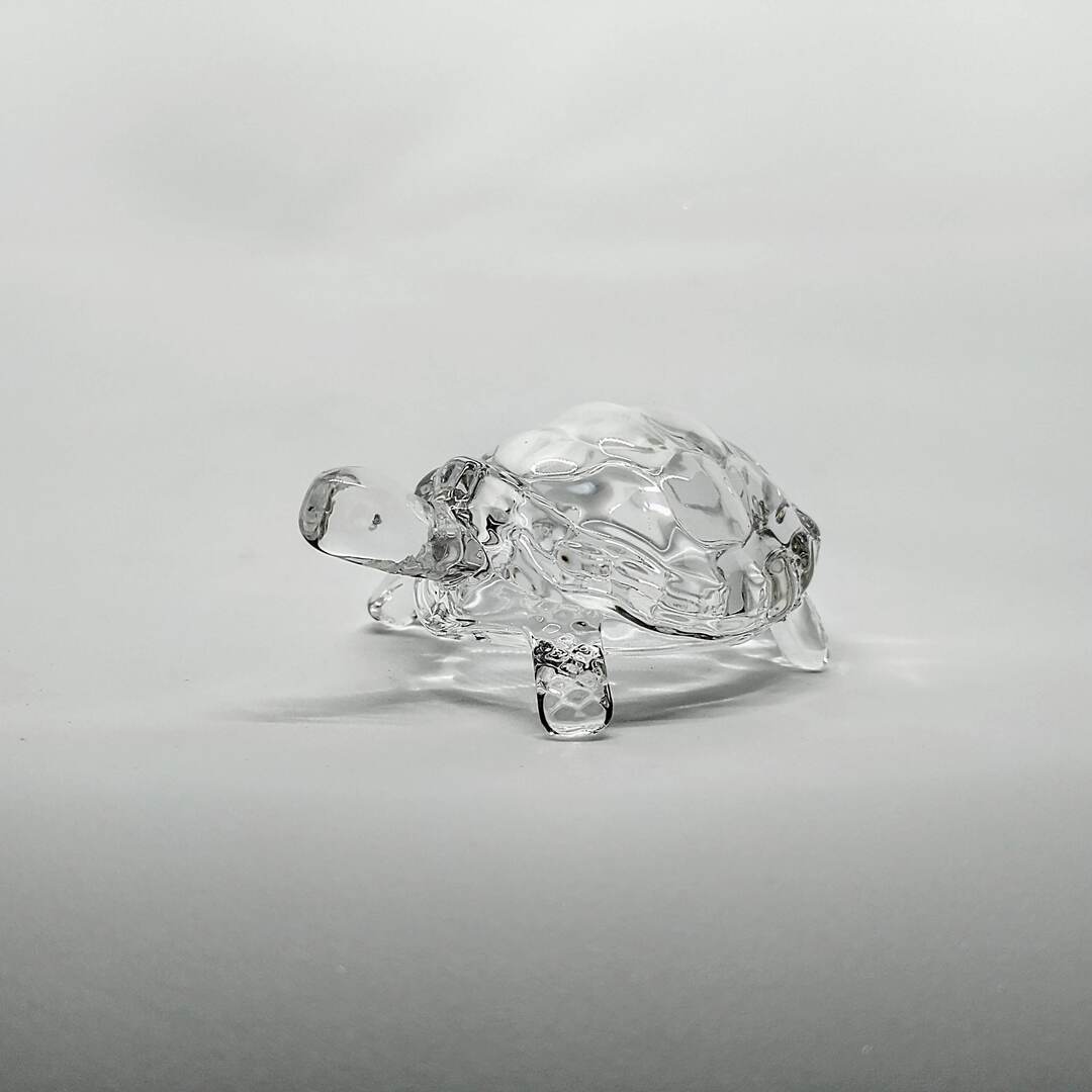 Tortuga de vidrio Transparente