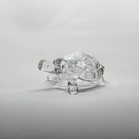 Tortuga de vidrio Transparente