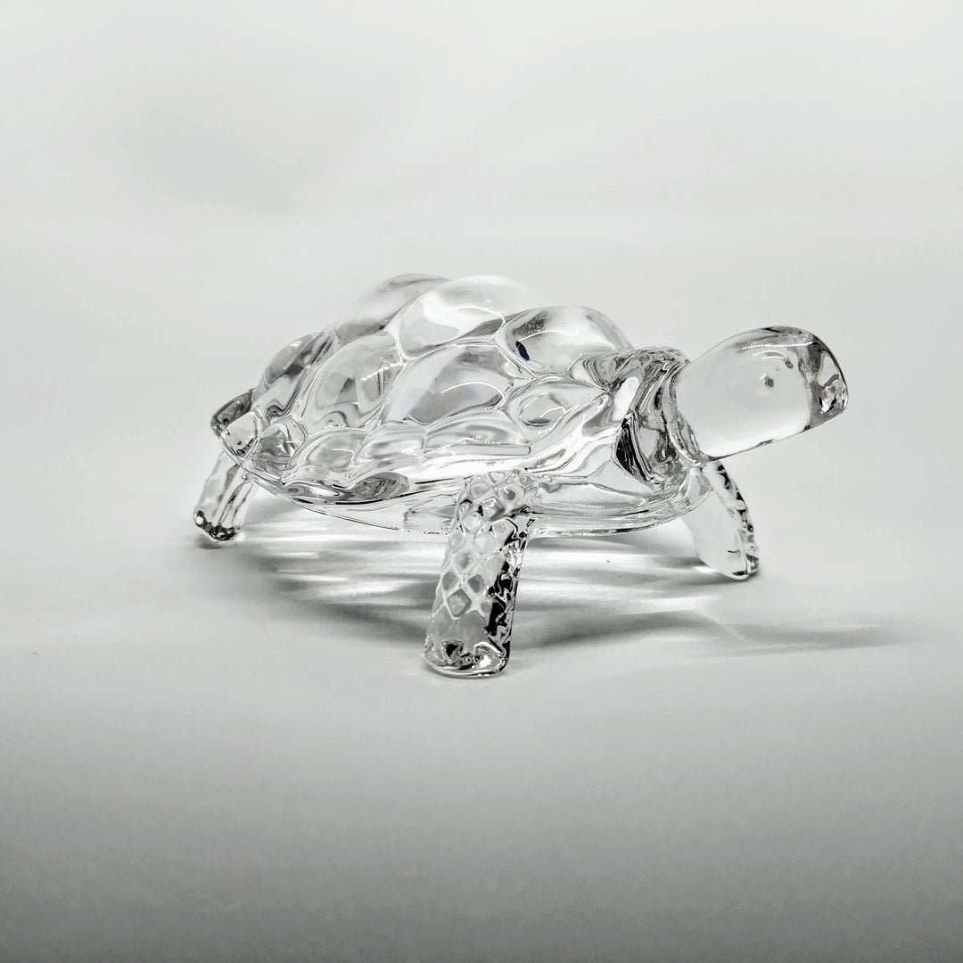 Tortuga de vidrio Transparente