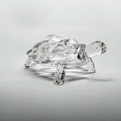 Tortuga de vidrio Transparente